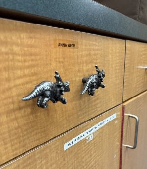 Image of triceratops drawer handles